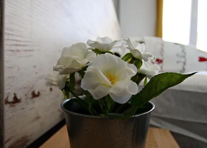 Nora Guest house Zadar